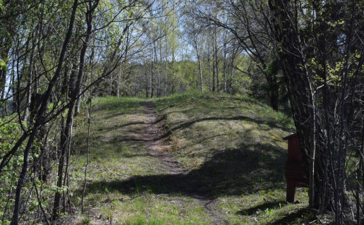 9_Želvų piliakalnis (1)_r1.jpg